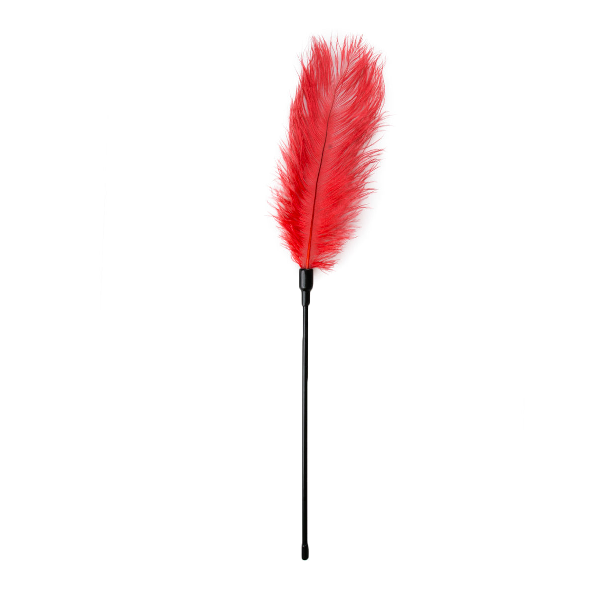 Feather Tickler