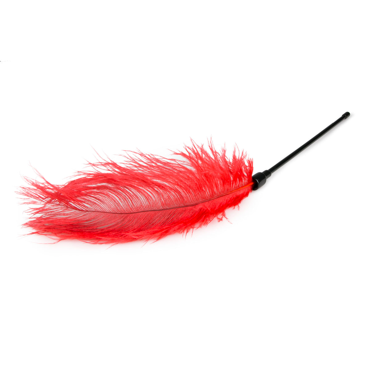 Feather Tickler
